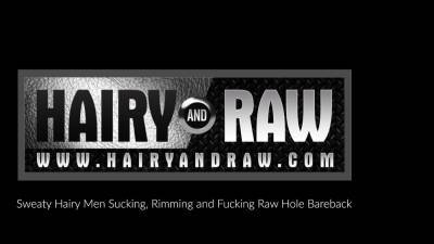 HAIRYANDRAW Hairy Harper Davis Masturbates And Anal Plays - nvdvid.com
