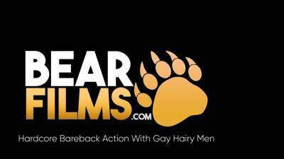 BEARFILMS Bears Adam James And Avi Strider Raw Breed Hard - nvdvid.com