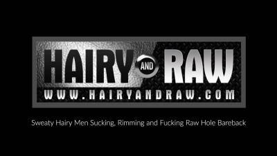 HAIRYANDRAW Hairy Men Dusty Williams And Rex Hunter Bareback - icpvid.com