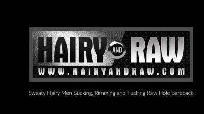 HAIRYANDRAW Hairy Hunks Hank Aarons And Sean Knight Bareback - nvdvid.com