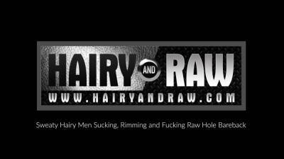 HAIRYANDRAW Hairy Men Parker Logan And Leo Forte Bareback - nvdvid.com