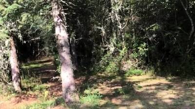 Naked ballad in the forest... - icpvid.com