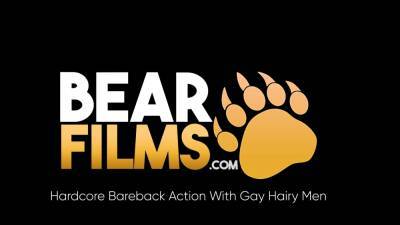 BEARFILMS Bearded Bear Lion Reed Raw Breeds Chris Mitchel - nvdvid.com