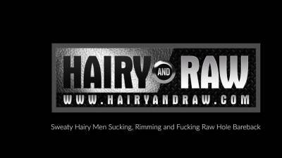 HAIRYANDRAW Hairy Hunk Parker Logan Raw Breeds Gay Alex Hawk - nvdvid.com