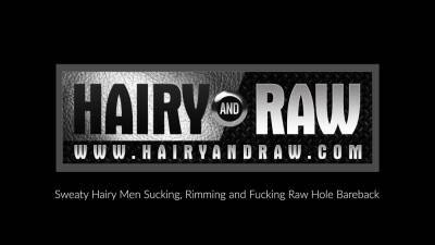HAIRYANDRAW Hairy Hunk Parker Logan Raw Breeds Gay Alex Hawk - icpvid.com