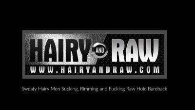 HAIRYANDRAW Burly Men Chip Young And Avi Strider Bareback - icpvid.com