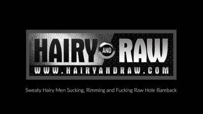 HAIRYANDRAW Hairy DILF Steve Sommers Barebacked In Threesome - icpvid.com