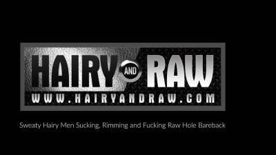 HAIRYANDRAW Hairy Men Phil Daniels And Russ Rodgers Bareback - nvdvid.com