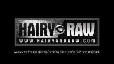 HAIRYANDRAW Fat Bear Lanz Adams Barebacks Randy Taintmoore - icpvid.com