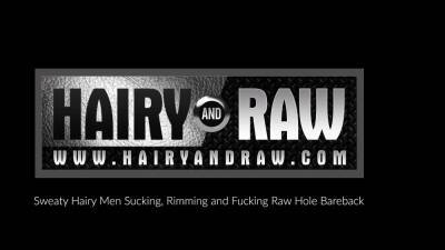 HAIRYANDRAW Fat Bear Lanz Adams Barebacks Randy Taintmoore - nvdvid.com