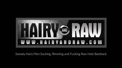 HAIRYANDRAW Tristan Riant And Matthieu Angel Breed In 3way - icpvid.com