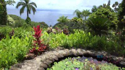 Moka Mora - Virtual Vacation In Hawaii With Moka Mora Part 5 - hotmovs.com - Usa